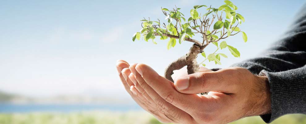 Grow your business with Axcess